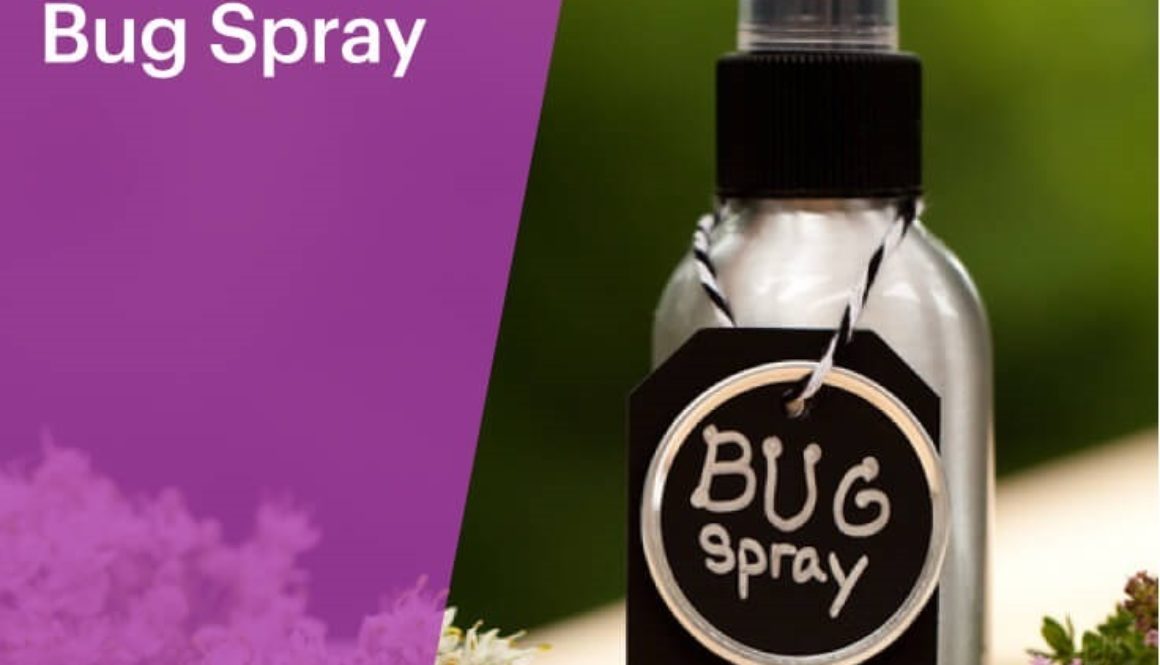 9.-bugspray