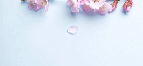 Menopausal Hormone Therapy includes bioidentical hormones to support women in perimenopause and menopause, formerly known as HRT.